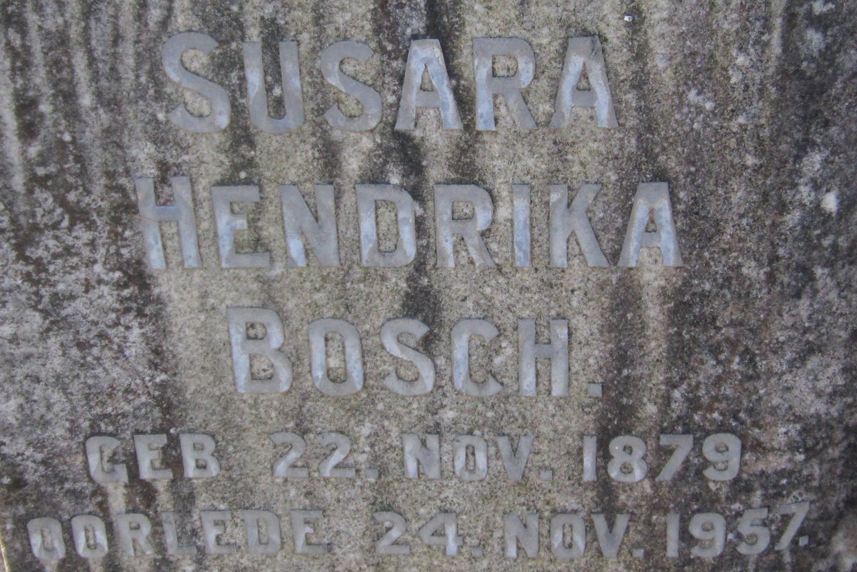 BOSCH Susara Hendrika 1879-1957