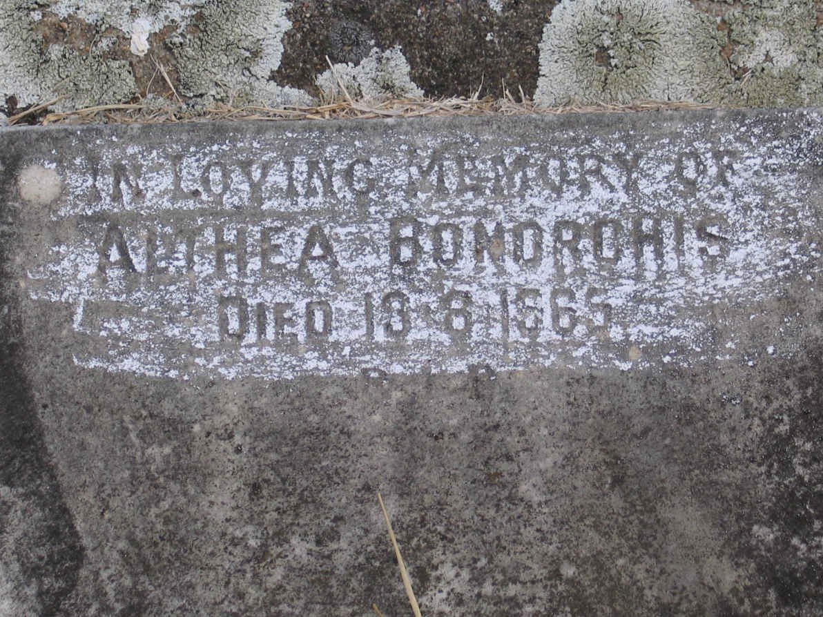 BONORCHIS Anthea -1965