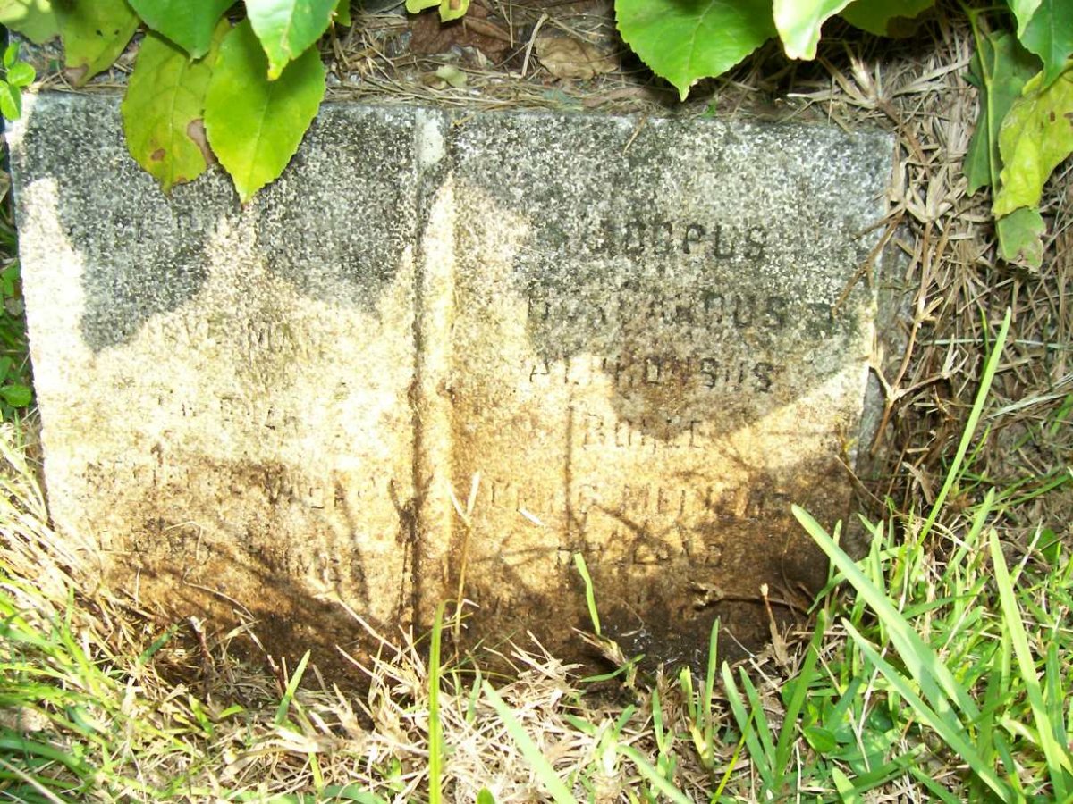BOYLE Alphonsus