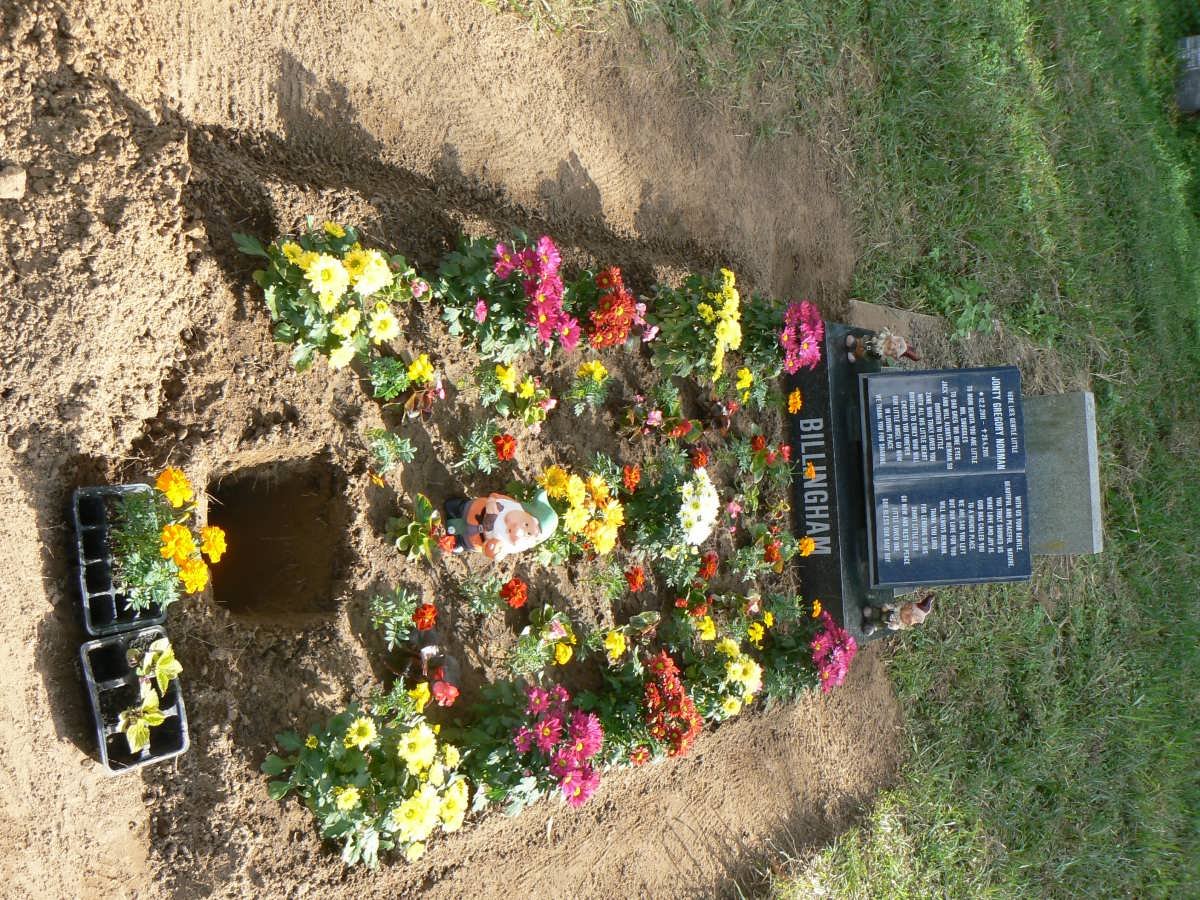 BILLINGHAM Jonty Gregory Norman 2011-2011