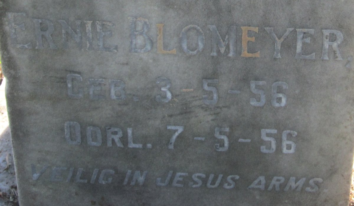 BLOMEYER Ernie 1956-1956