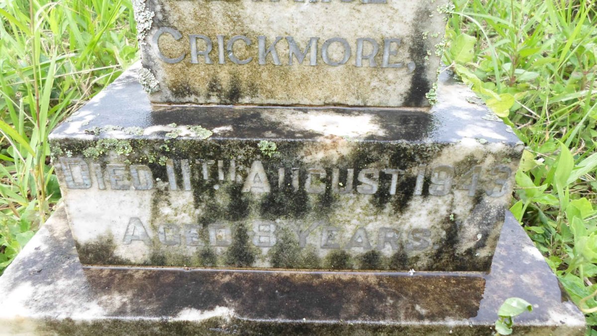 CRICKMORE Lynette Beatrice -1943