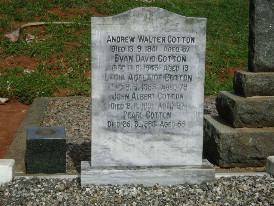 COTTON Andrew Walter -1941 :: COTTON Evan David -1945 :: COTTON Lydia Adelaide -1965