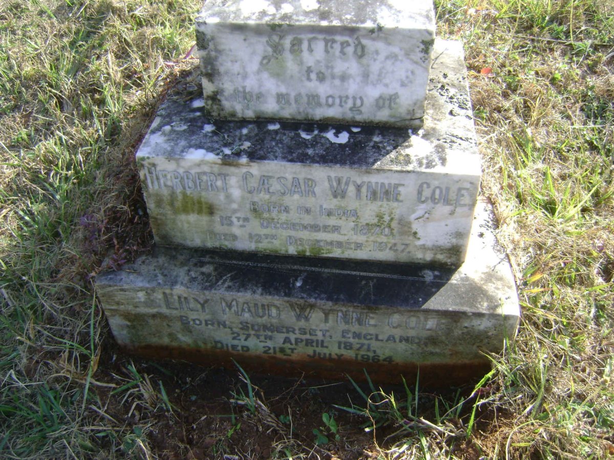 COLE Herbert Caesar, WYNNE 1870-1947 &amp; Lily Maud 1871-1964