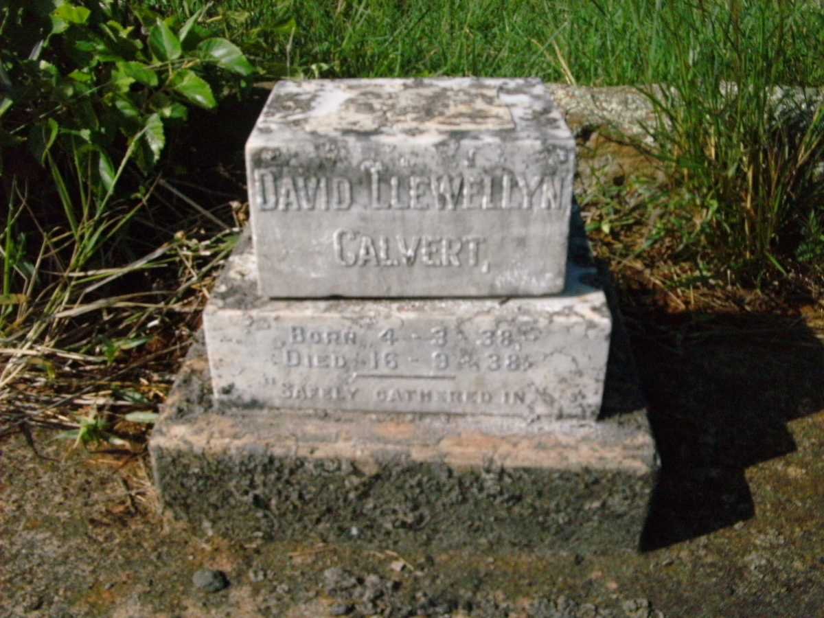 CALVERT David Llewellyn 1938-1938