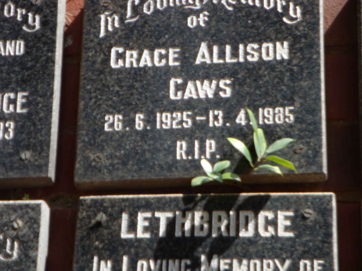 CAWS Grace Allison 1925-1985