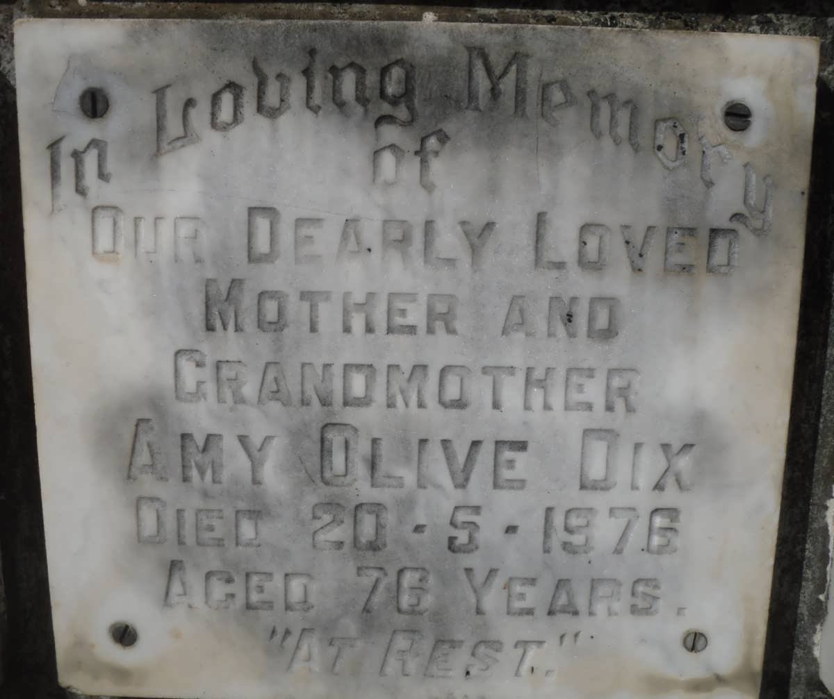 DIX Amy Olive -1976