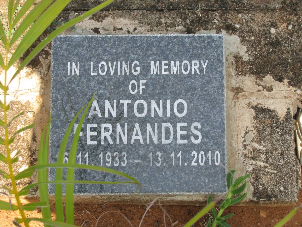 FERNANDES Antonio 1933-2010