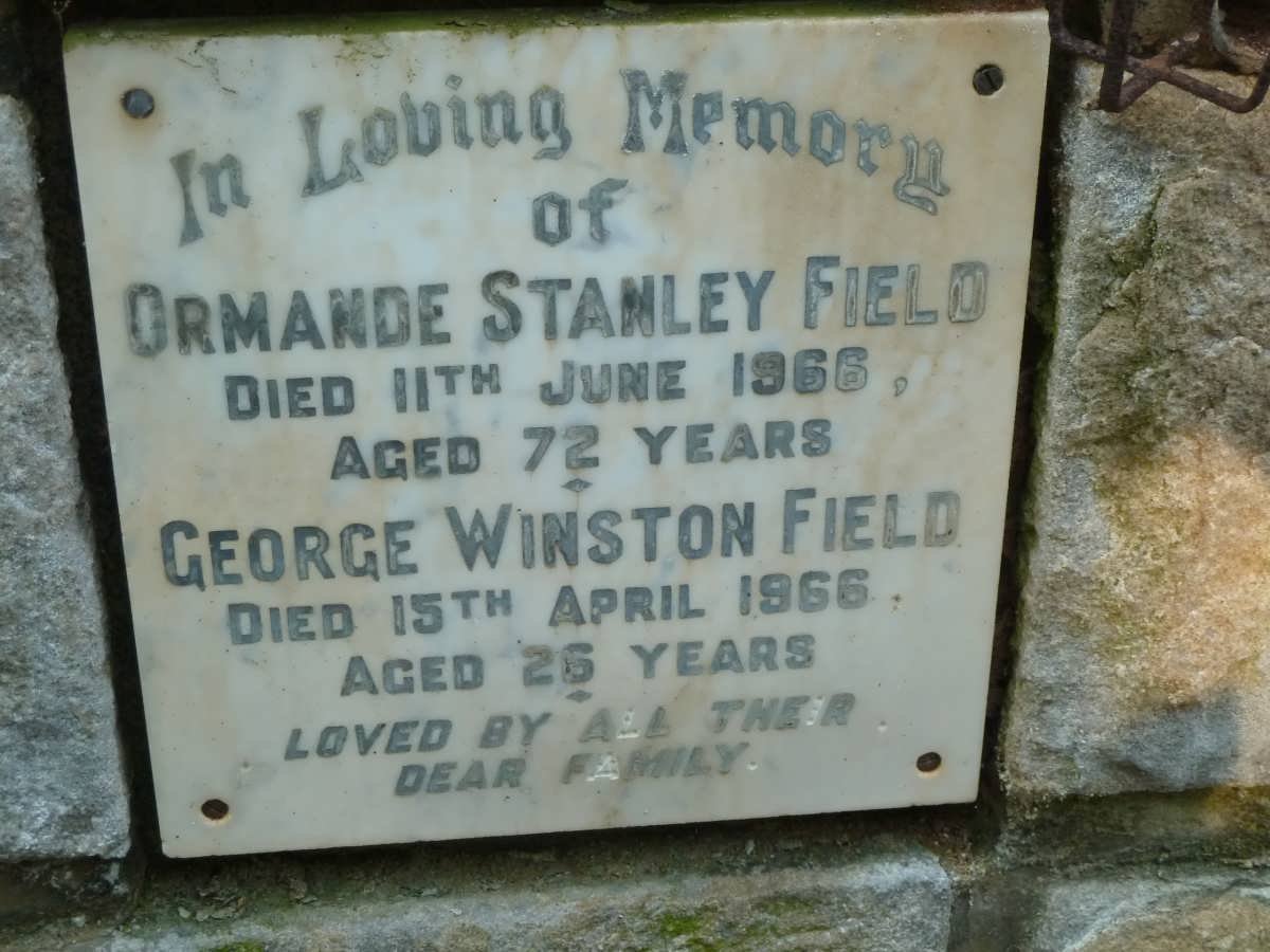 FIELD Ormande Stanley -1966 :: FIELD George Winston -1966