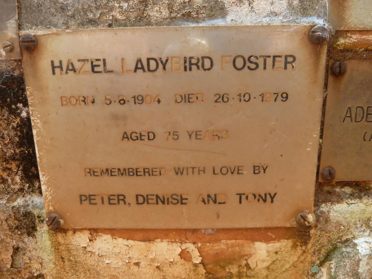 FOSTER Hazel Ladybird 1904-1979