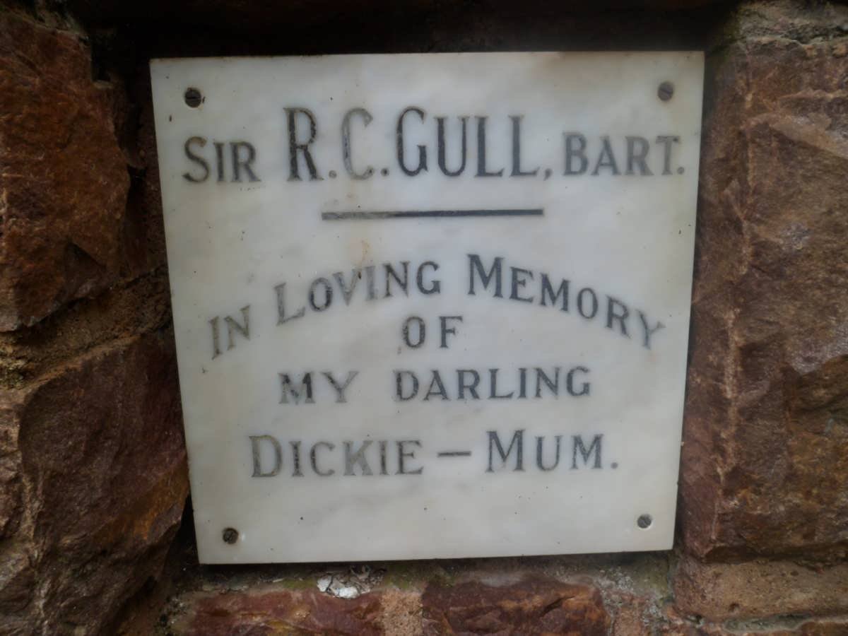 GULL R.C.