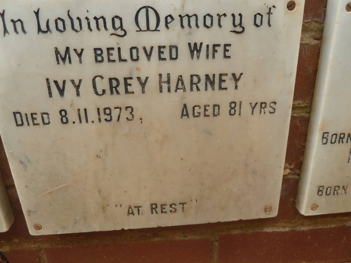 HARNEY Ivy Grey -1973