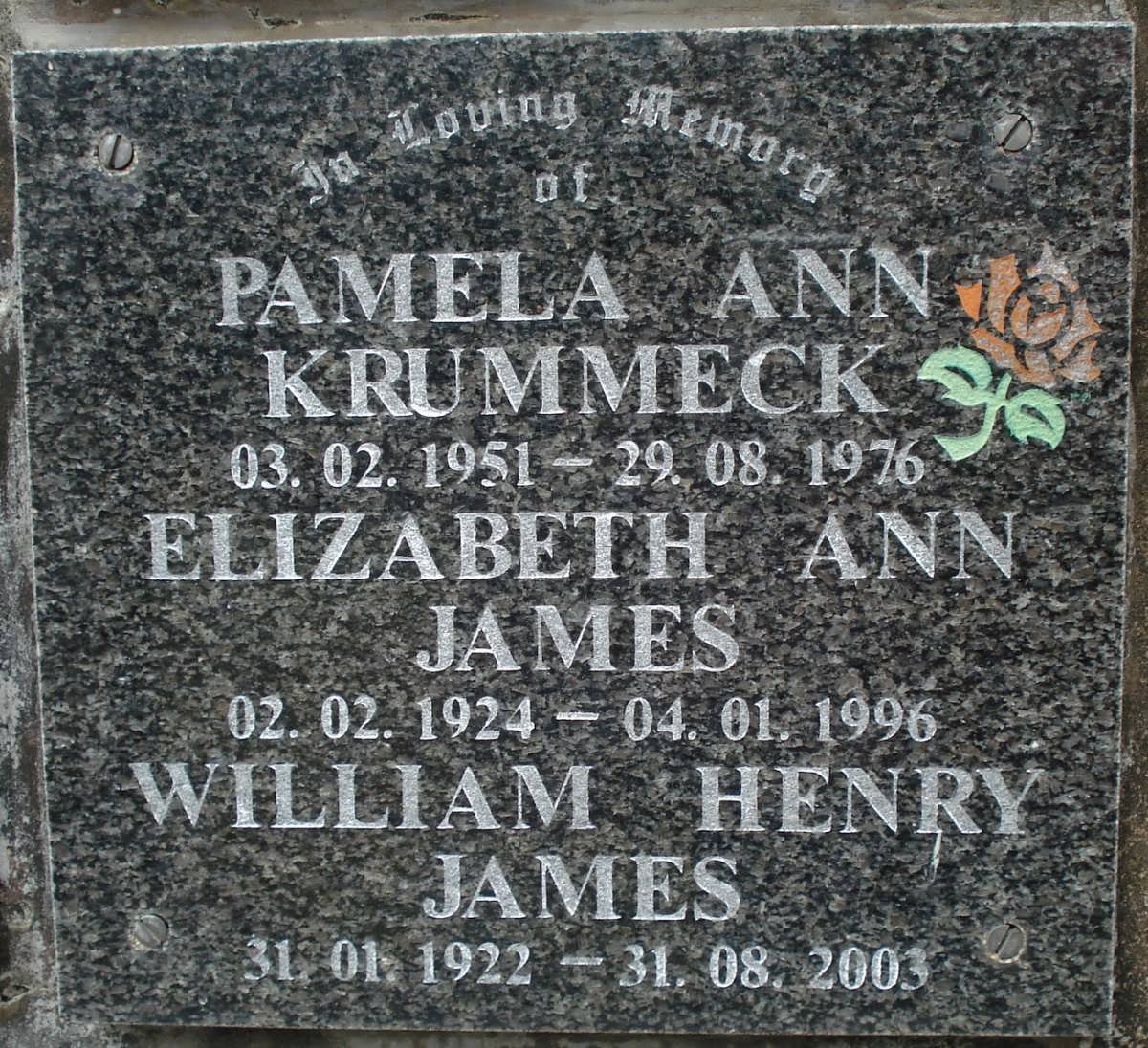 KRUMMECK Pamela Ann 1951-1976 :: JAMES William Henry 1922-2003 &amp; Elizabeth Ann 1924-1996