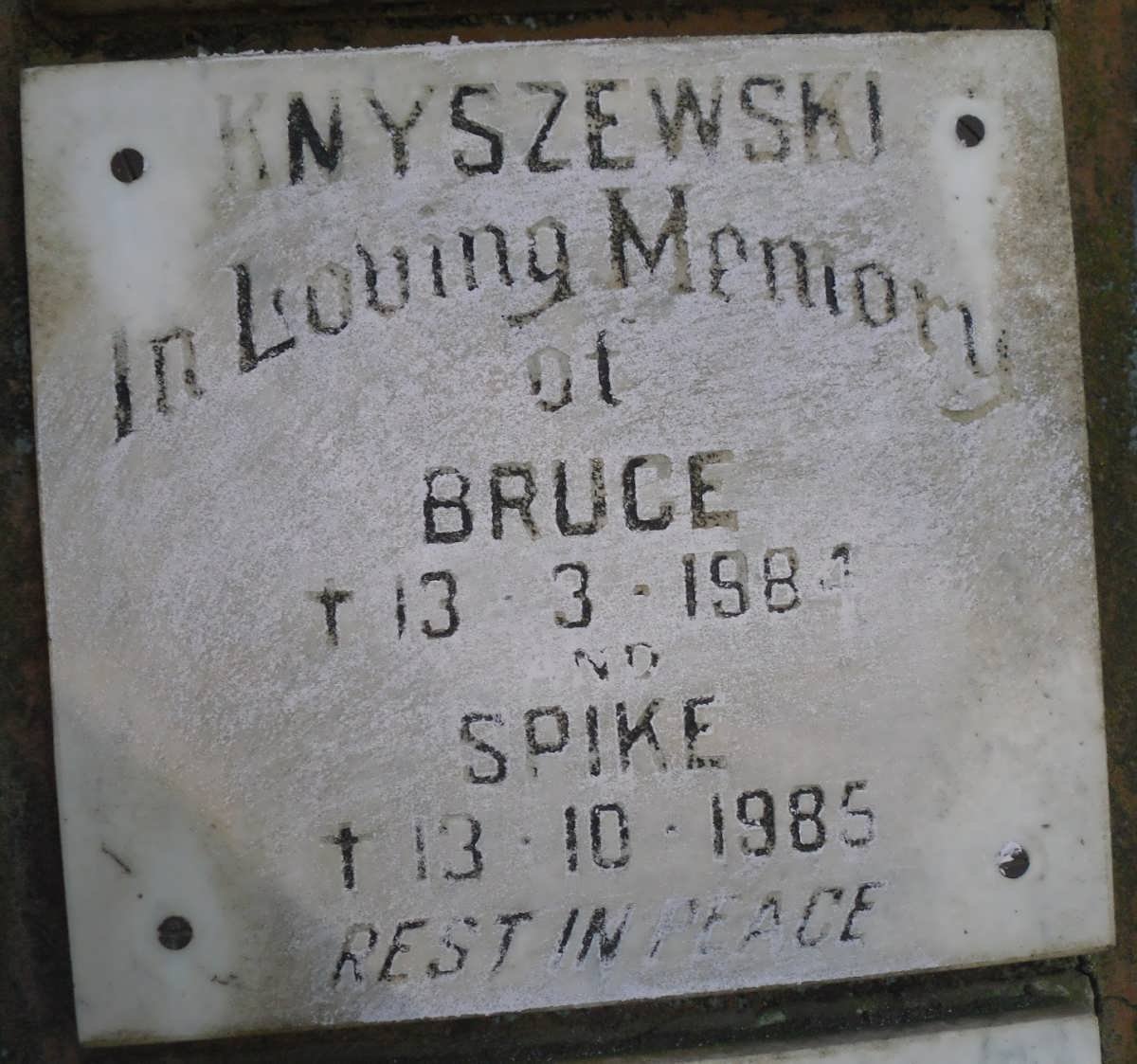 KNYSZEWSKI Bruce -1984 :: KNYSZEWSKI Spike -1985