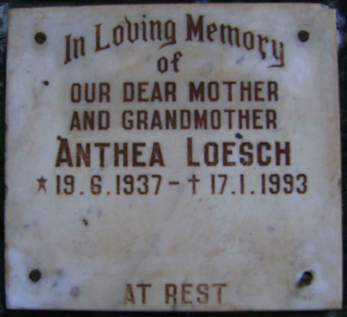 LOESCH Anthea 1937-1993