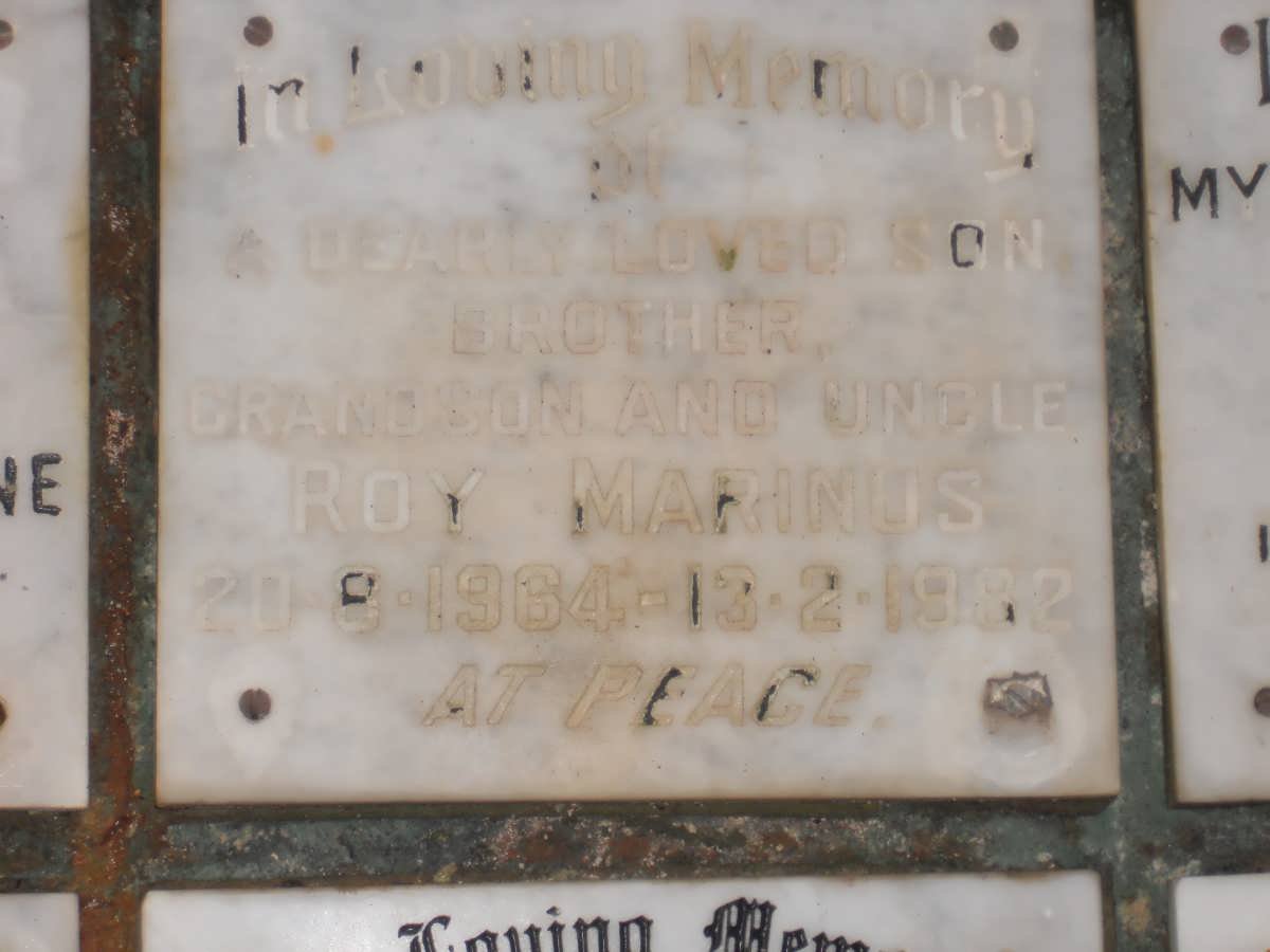 MARINUS Roy 1964-1982