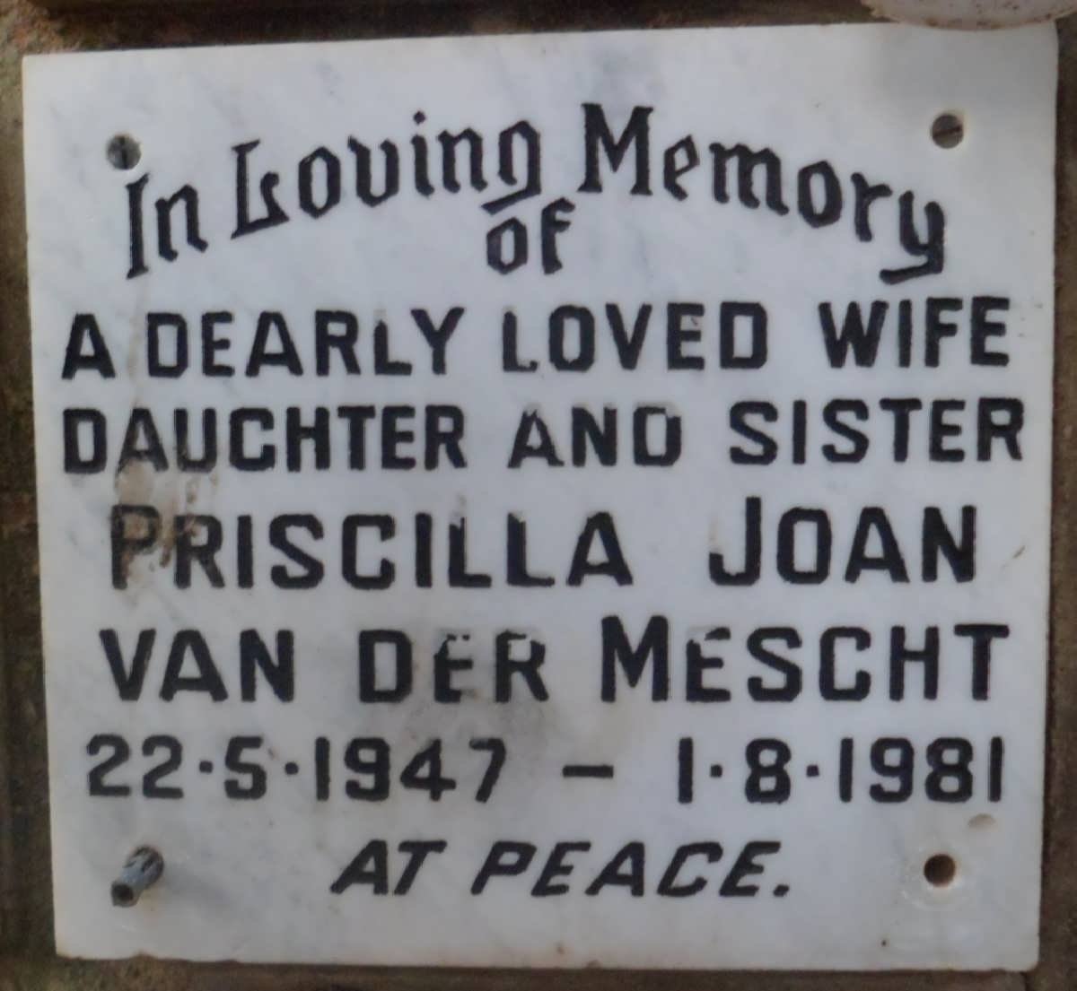 MESCHT Priscilla Joan, van der 1947-1981