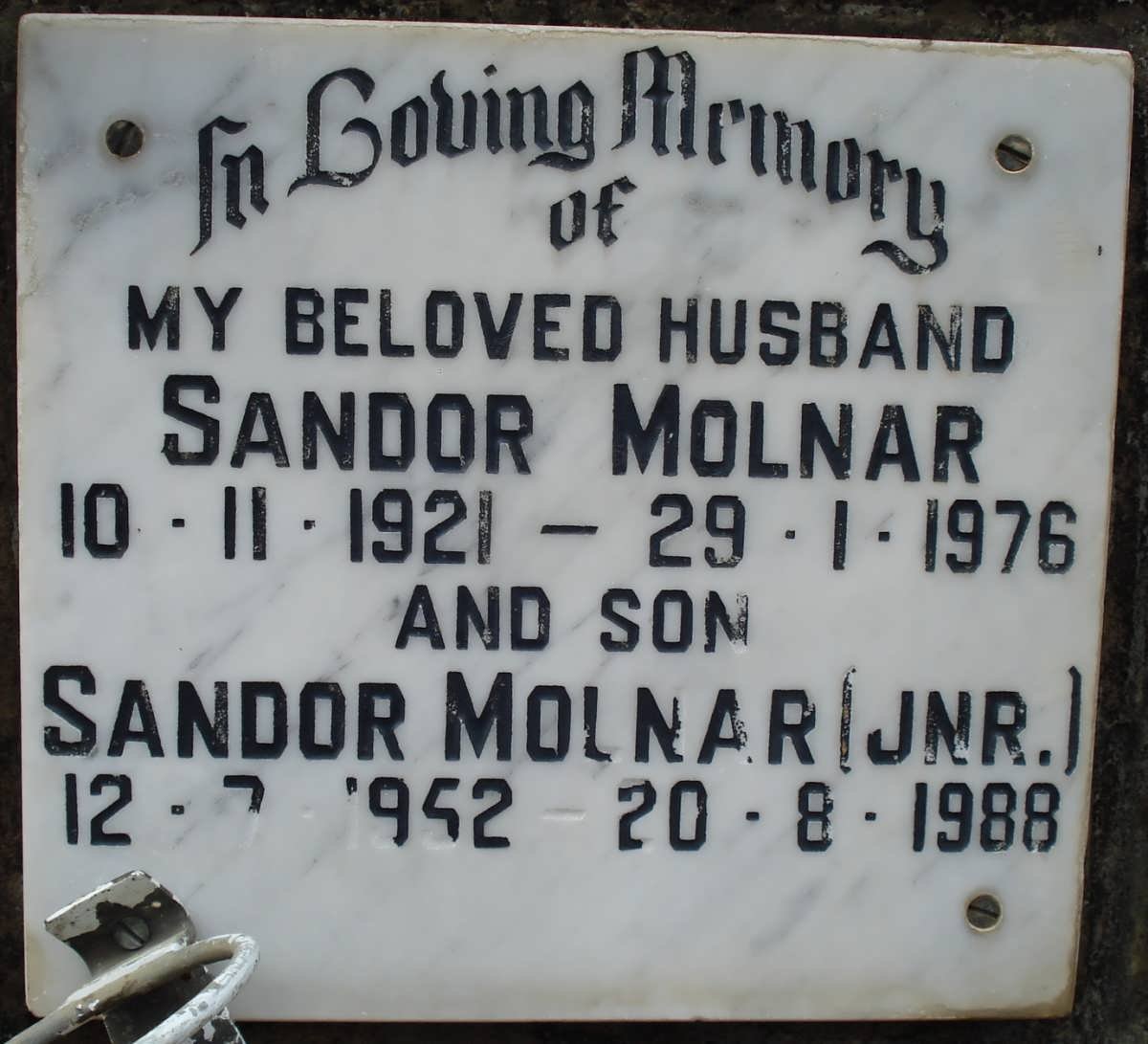 MOLNAR Sandor 1921-1976 :: MOLNAR Sandor 1952-1988