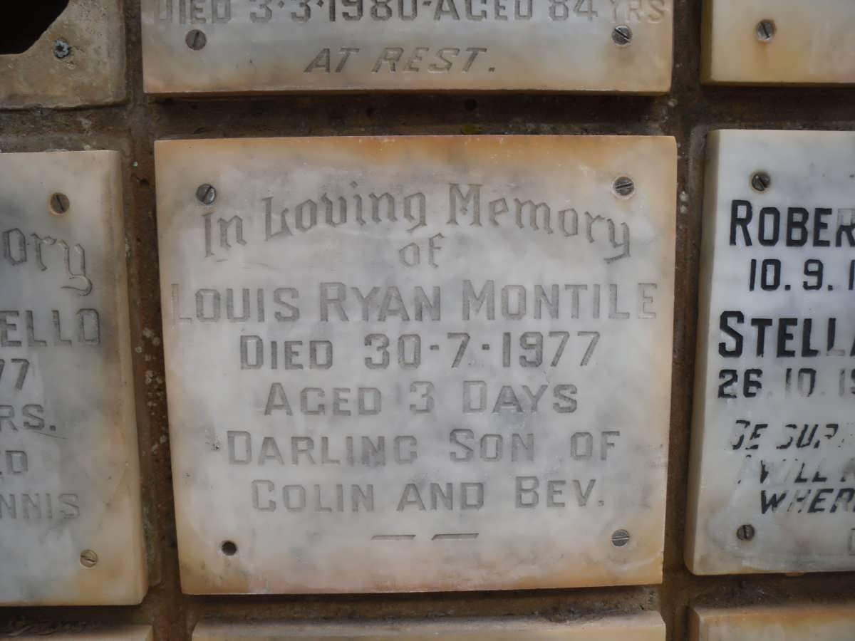 MONTILE Louis Ryan -1977