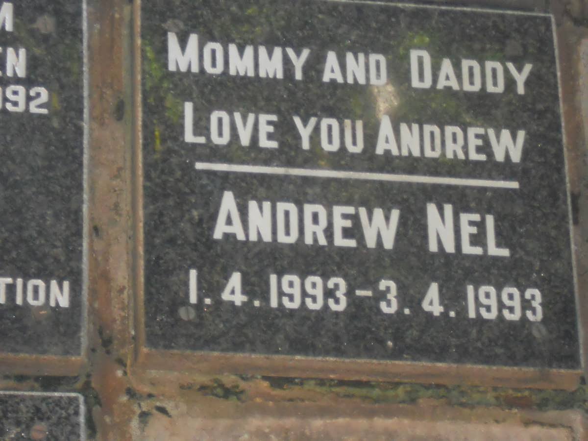 NEL Andrew 1993-1993