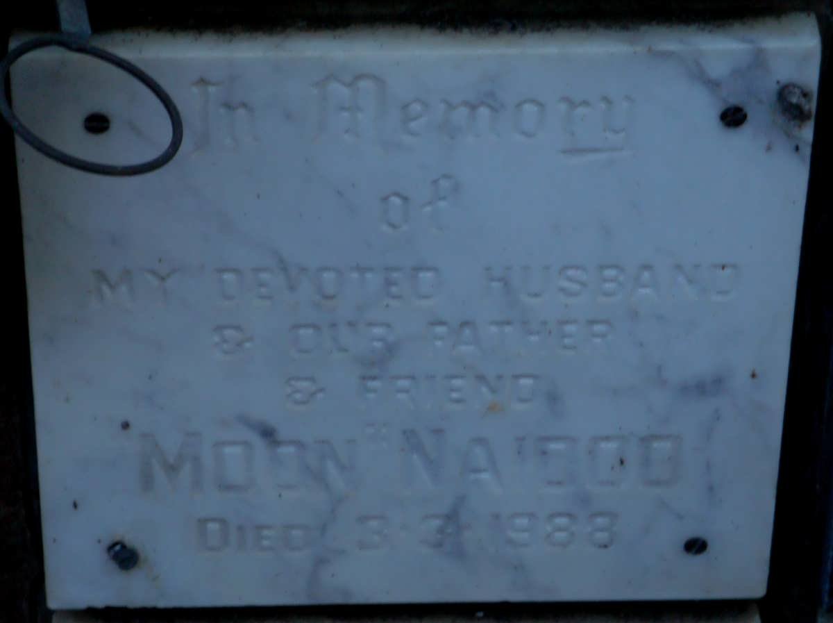 NAIDOO Moon -1988