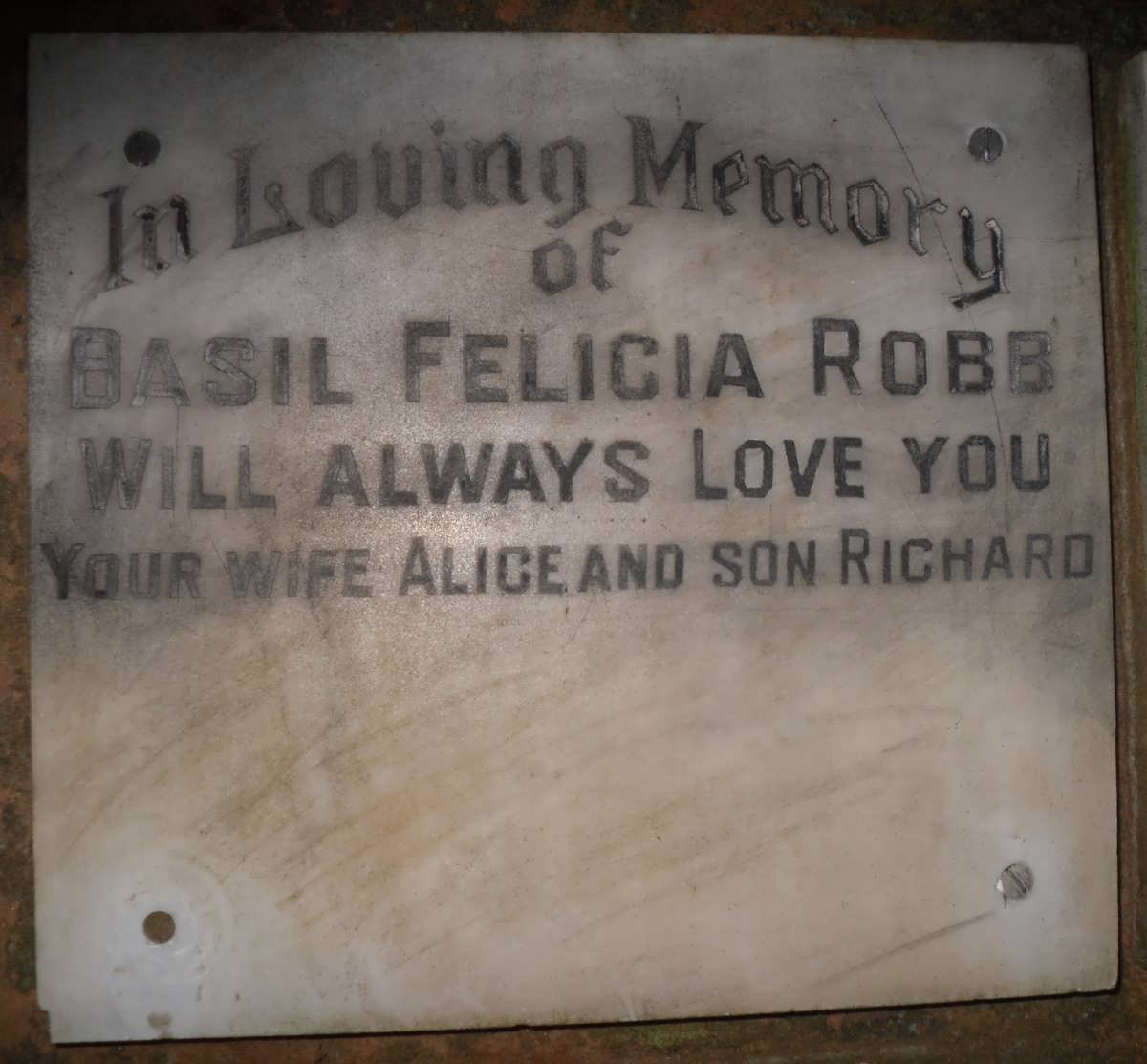ROBB Basil Felicia