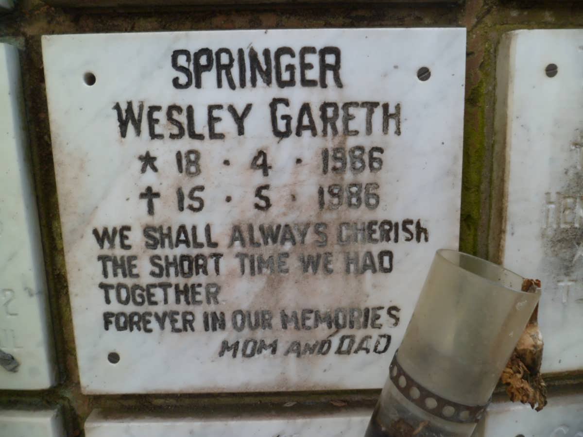 SPRINGER Wesley Gareth 1986-1986