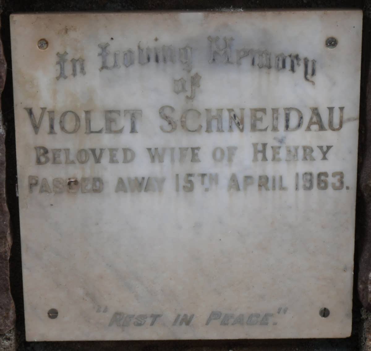 SCHNEIDAU Violet -1963