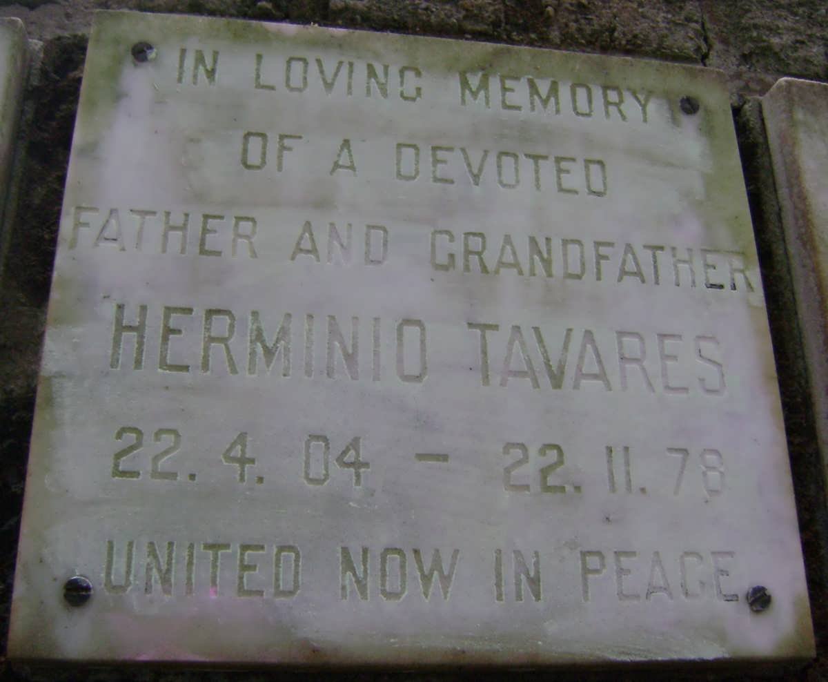 TAVARES Herminio 1904-1978