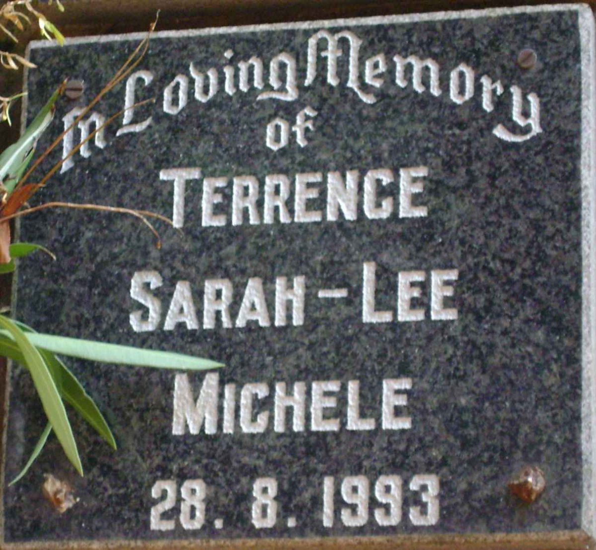 TERRENCE Sarah-Lee Michele -1993