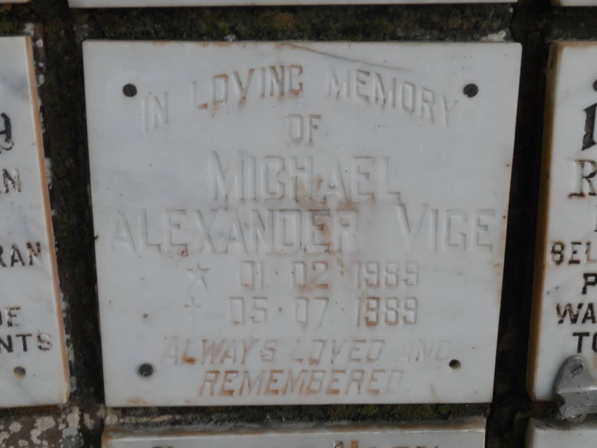 VICE Michael Alexander 1989-1989