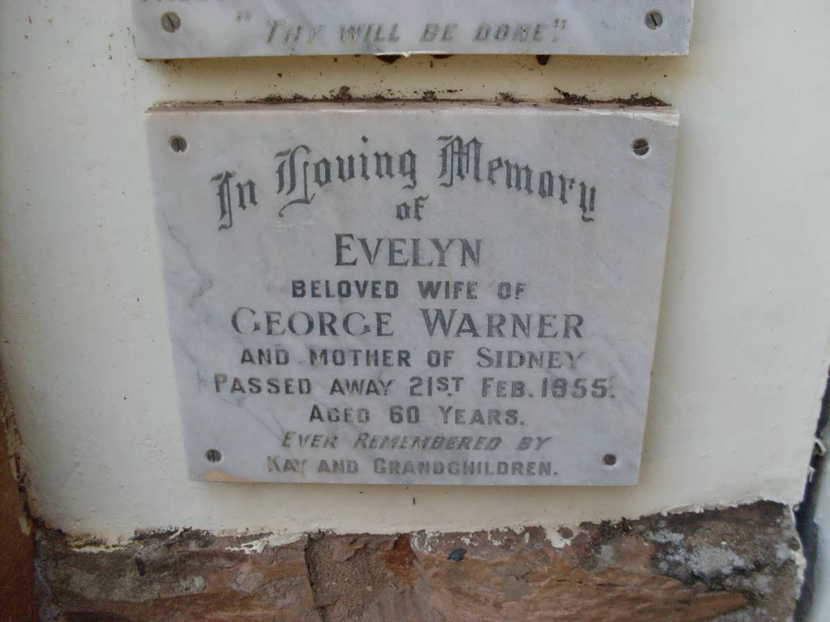 WARNER Evelyn -1955