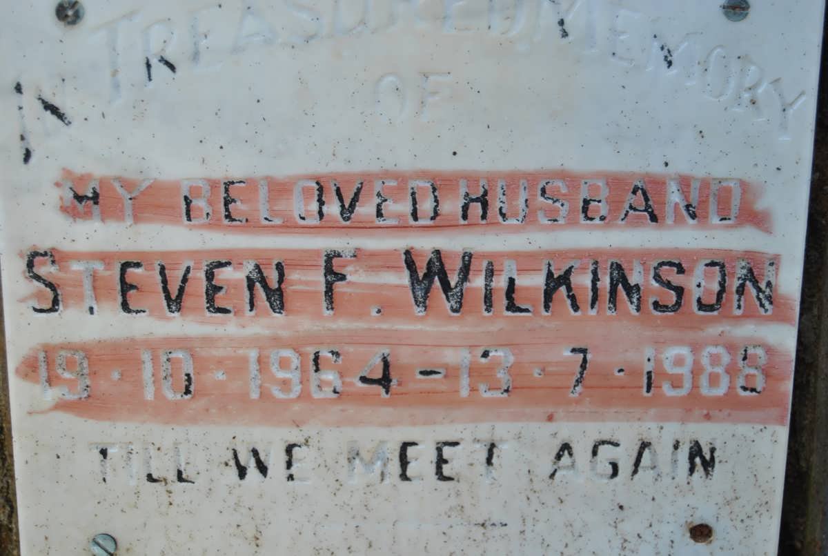 WILKINSON Steven F. 1964-1988