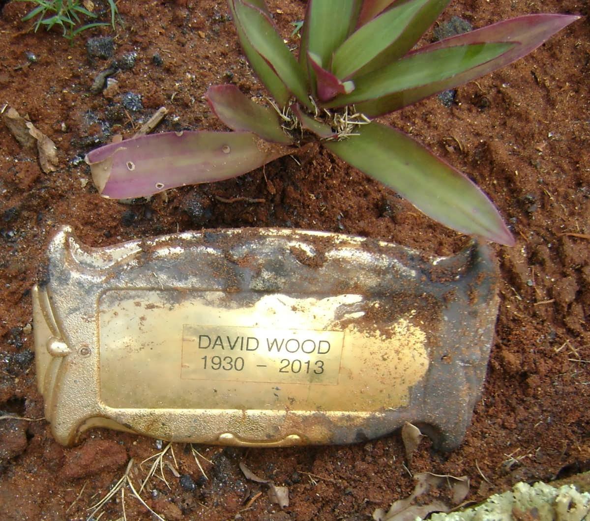 WOOD David 1930-2013