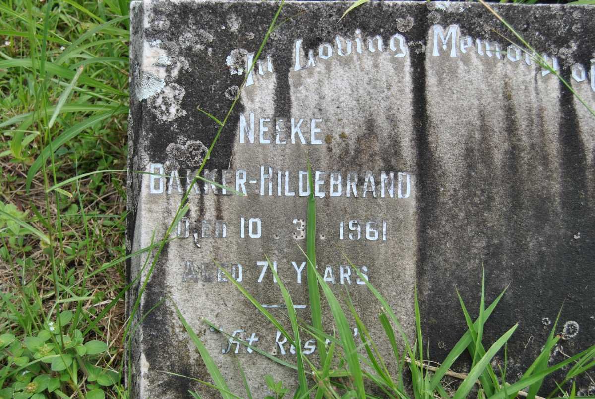 DIEPERING Neeke Hildebrand nee Bakker -1961