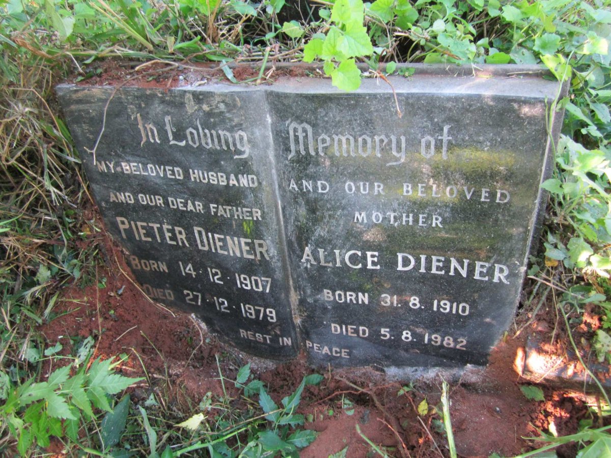 DIENER Pieter 1907-1979 &amp; Alice 1910-1982