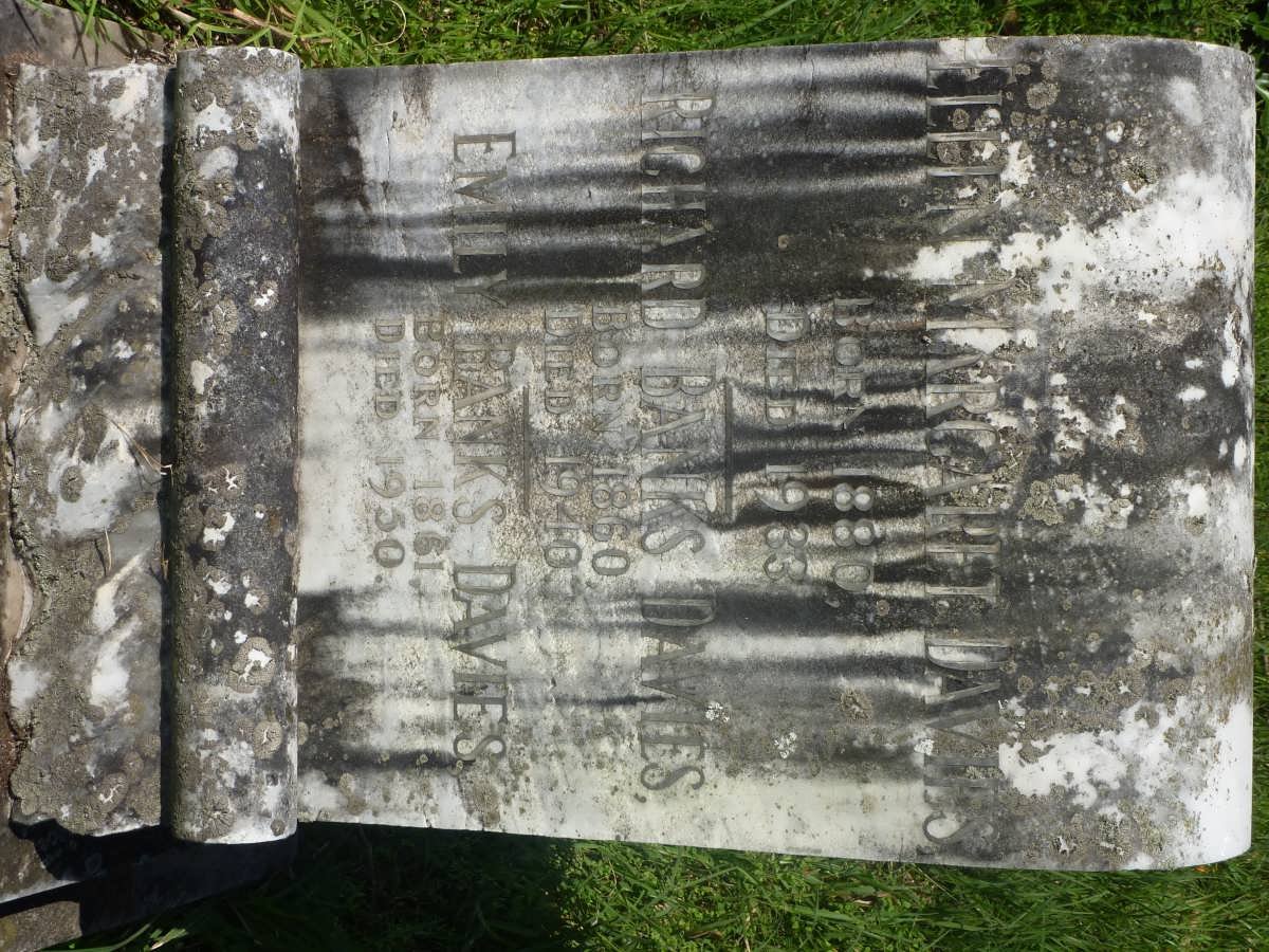 DAVIES Richard, Banks 1860-1940 &amp; Emily 1861-1950 :: DAVIES Ellen Margaret 1880-1933
