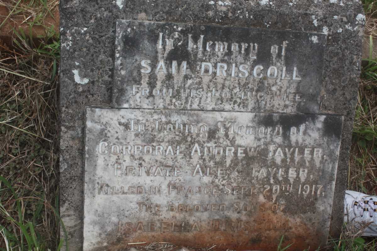 DRISCOLL Sam -1925 :: TAYLER Andrew -1917 :: TAYLER Alex -1917