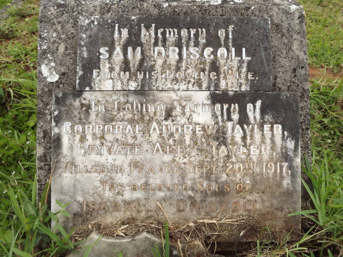 DRISCOLL Sam -1925 :: TAYLER Andrew -1917 :: TAYLER Alex -1917