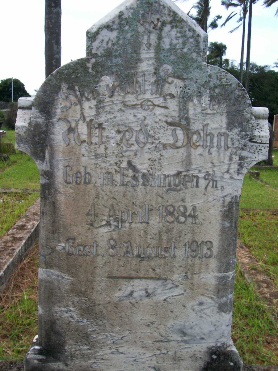 DEHN Alfred 1884-1913