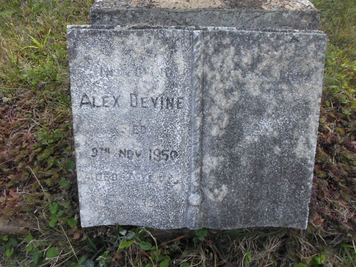 DEVINE Alex -1950