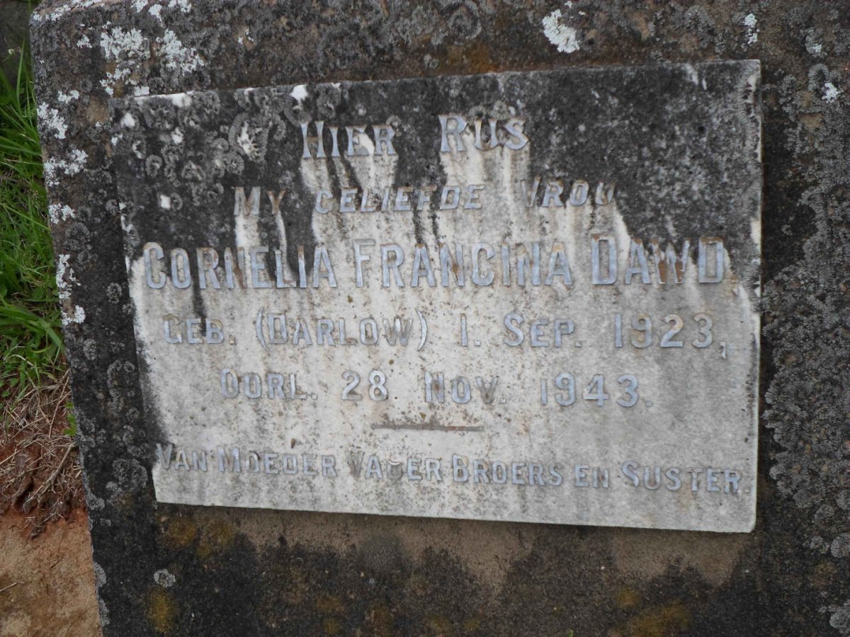 DOWD Cornelia Francina nee DARLOW 1923-1943