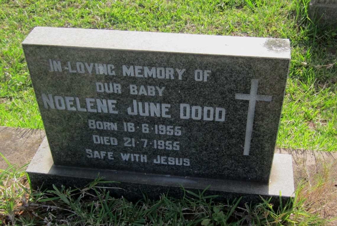 DODD Noelene June 1955-1955