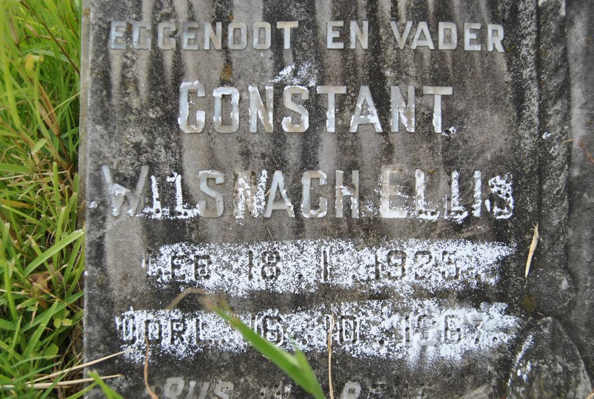 ELLIS Constant Wilsnach 1925-1967