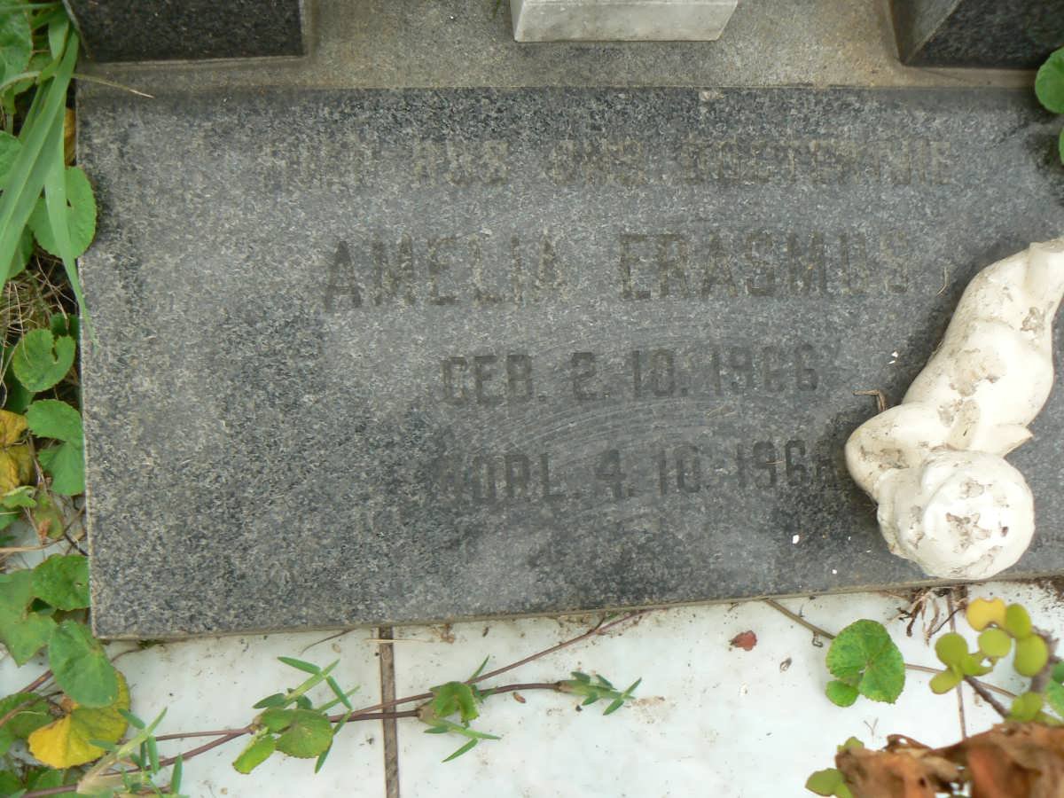 ERASMUS Amelia 1966-1966