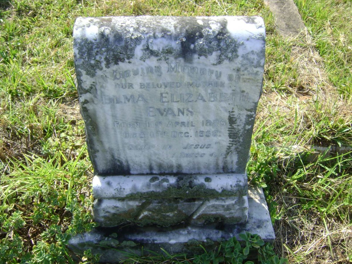 EVANS Selma Elizabeth 1885-1958