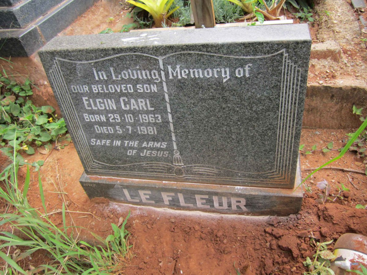 FLEUR Elgin Carl, le 1963-1981