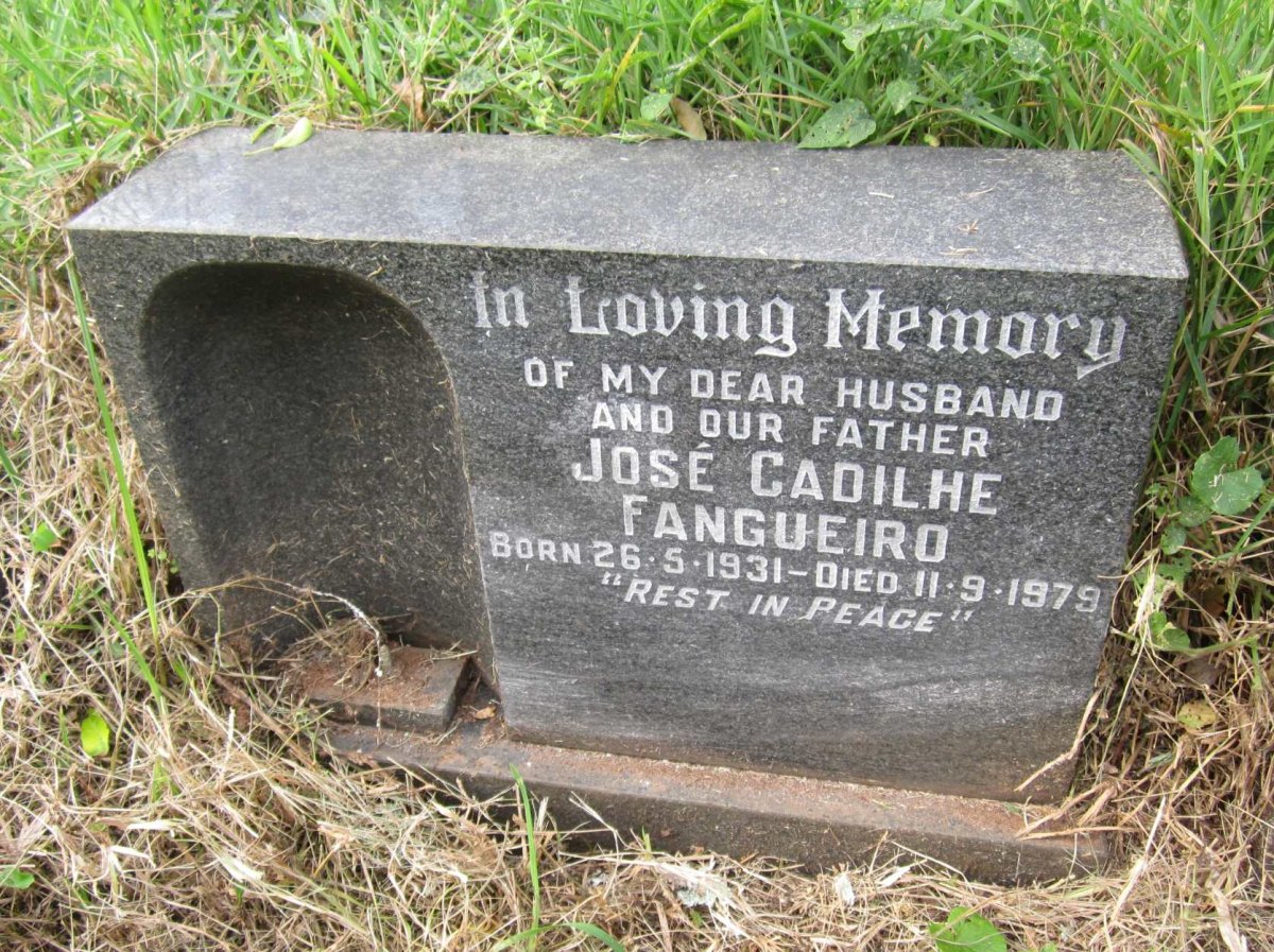 FANGUEIRO Jose Cadilhe 1931-1979