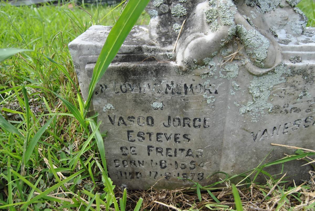 FREITAS Vasco Jorge Esteves, de 1954-1973