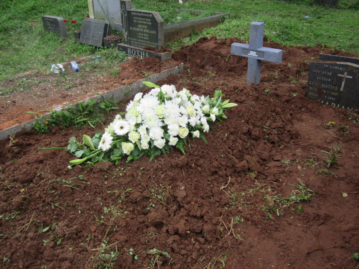 FRANCIS Lynette 1958-2017
